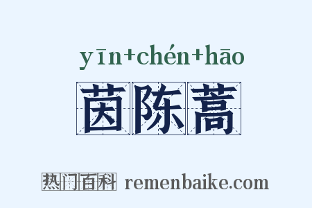 茵陈蒿是什么意思的图片